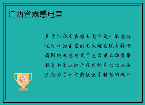 江西省霖感电竞